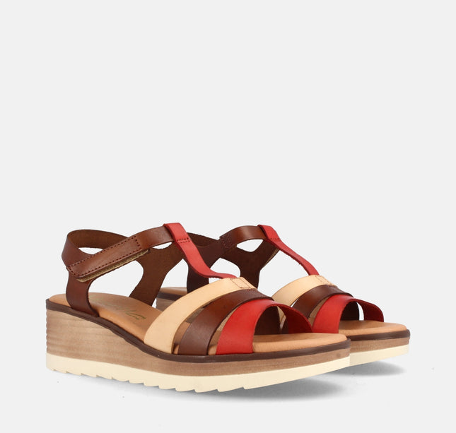 DHABI COMBI TEJA 2-0