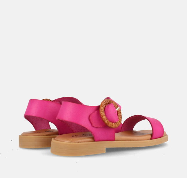 COCO FUXIA-2