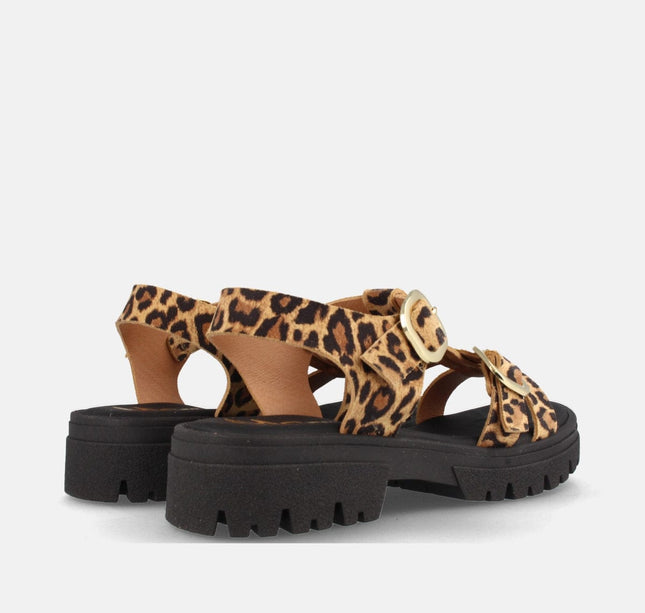 DELTA SERR. LEOPARDO-2