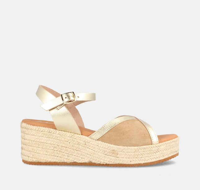 COLUMBIA SERR. ARENA/LAM. CHAMPAN-1