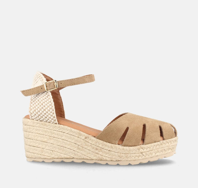 SEATTLE SERR. MUSHROOM-0