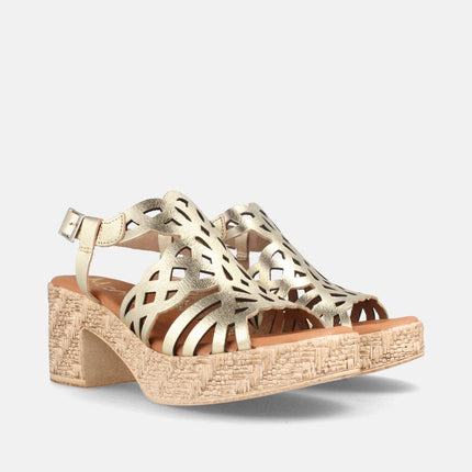 MEYA GRAIN CHAMPAN-1