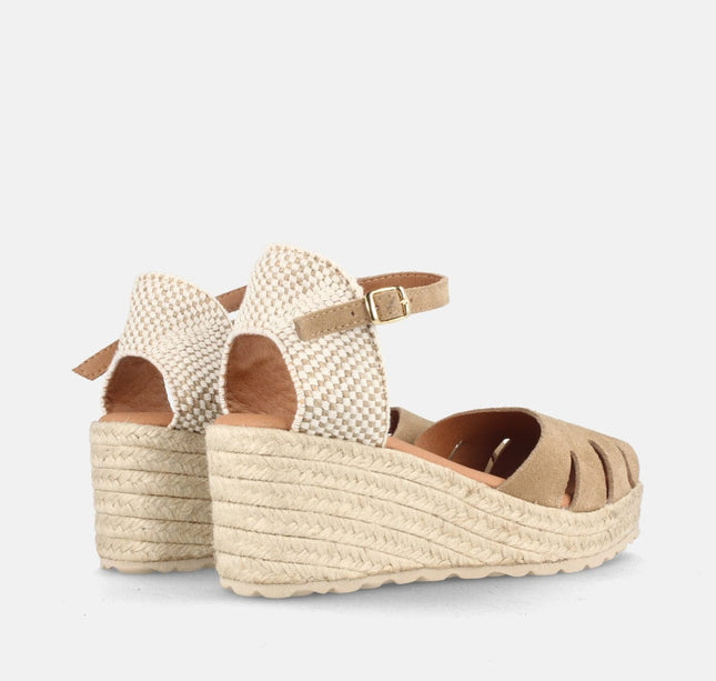 SEATTLE SERR. MUSHROOM-2