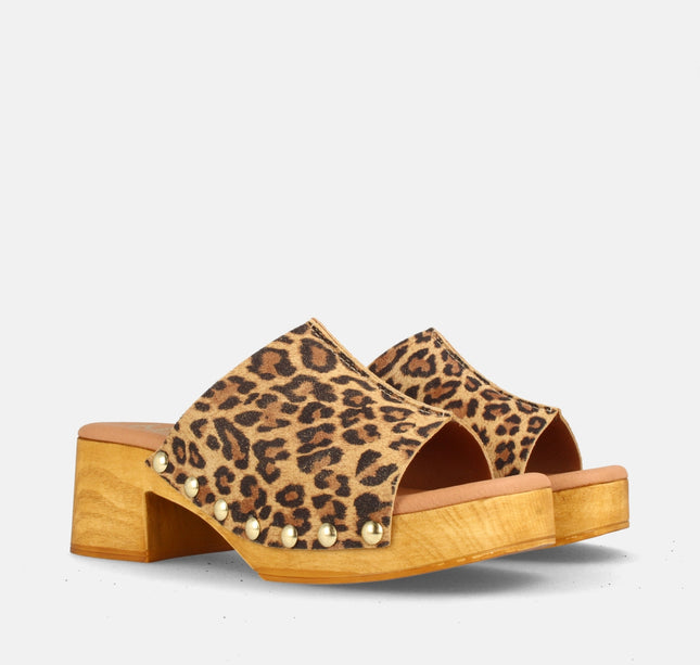 DARIA LEOPARDO-1