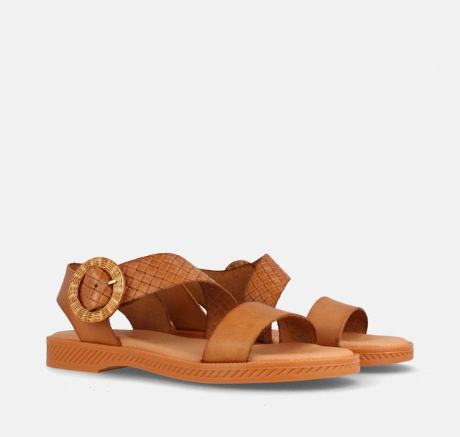 AMSTER AVELLANA/GRAB. 99-54-1