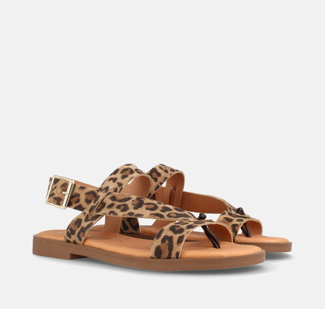 ARIELA LEOPARDO-1