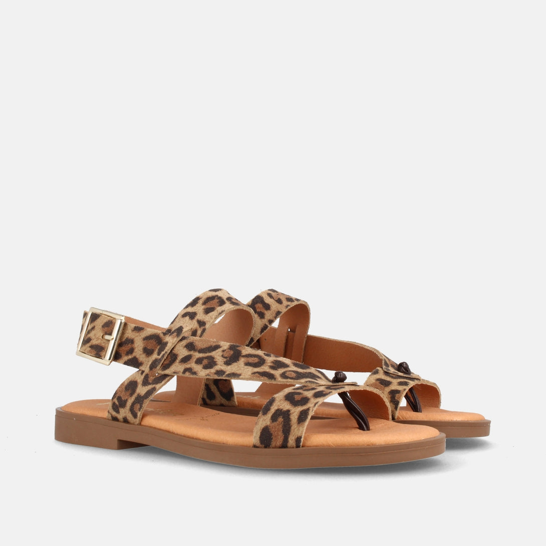 ARIELA LEOPARDO-1