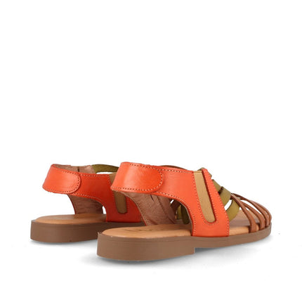 AMAPOLA COMBI AVELLANA-4