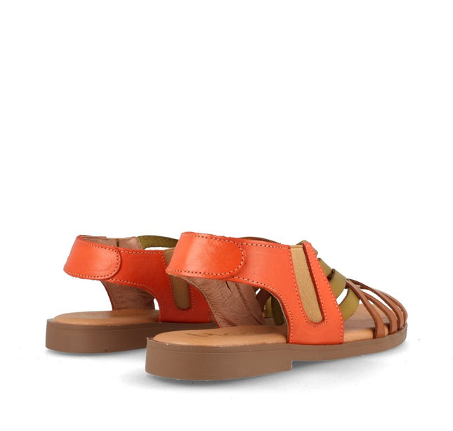 AMAPOLA COMBI AVELLANA-4