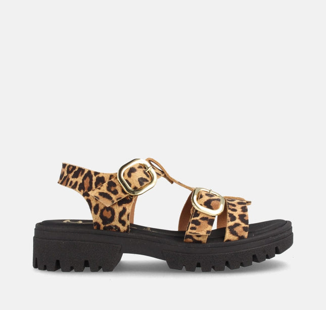 DELTA SERR. LEOPARDO-0