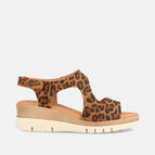 35 / LEOPARDO