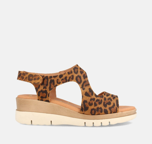 ALLEN LEOPARDO-0