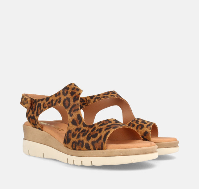 ALLEN LEOPARDO-2
