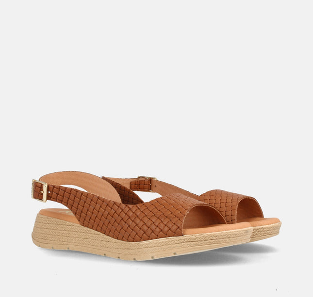 PARADISE M-13 CUERO-1